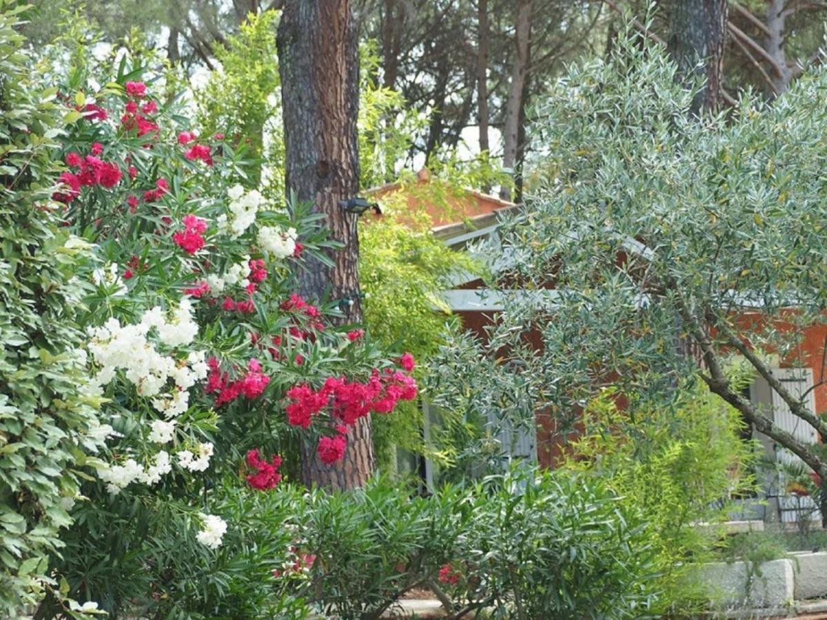 Bed and Breakfast La Bastide Des Pins Кастийон-дю-Гар Экстерьер фото