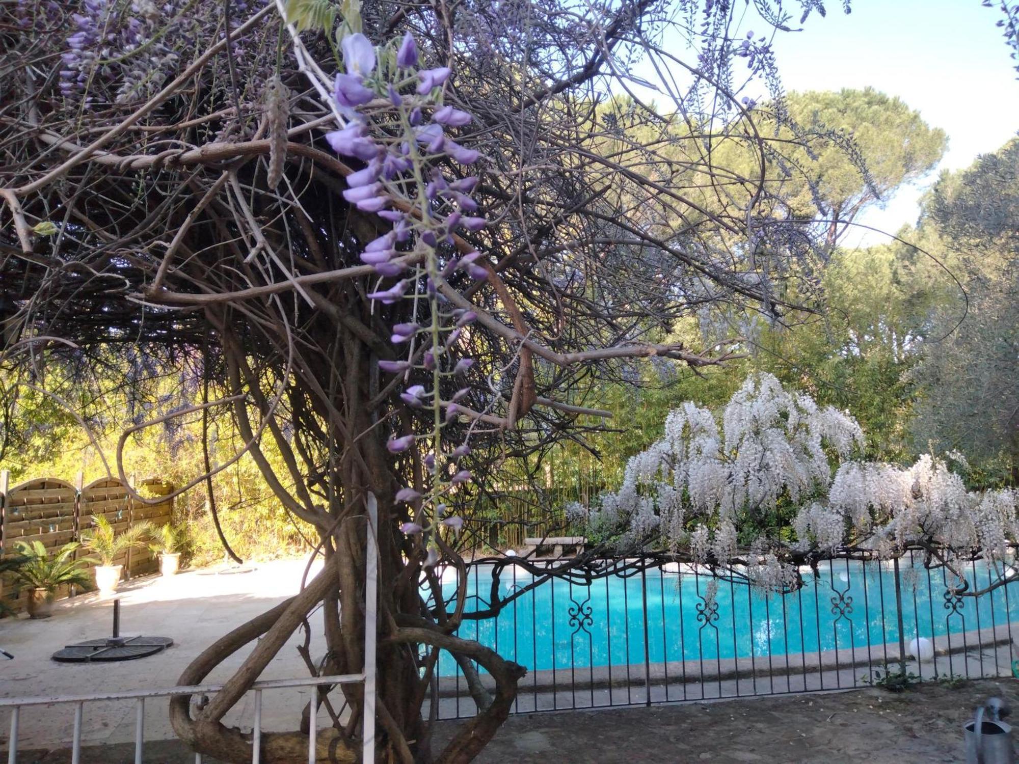 Bed and Breakfast La Bastide Des Pins Кастийон-дю-Гар Экстерьер фото